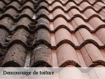 Demoussage de toiture