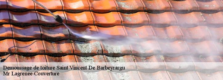 Demoussage de toiture 34730