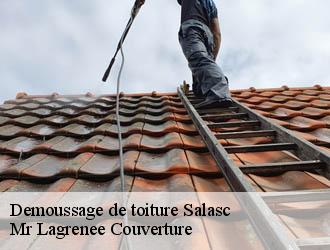 Demoussage de toiture salasc-34800 Mr Lagrenee Couverture