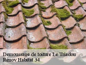 Demoussage de toiture  le-triadou-34270 Rénov Habitat 34 