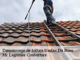 Demoussage de toiture  usclas-du-bosc-34700 Mr Lagrenee Couverture