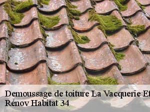 Demoussage de toiture  la-vacquerie-et-saint-martin-34520 Rénov Habitat 34 