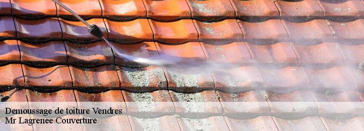 Demoussage de toiture 34350