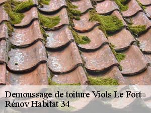 Demoussage de toiture  viols-le-fort-34380 Rénov Habitat 34 