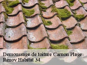 Demoussage de toiture  carnon-plage-34280 Rénov Habitat 34 