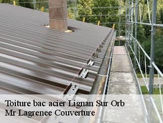 Toiture bac acier lignan-sur-orb-34490 Mr Lagrenee Couverture