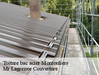 Toiture bac acier montouliers-34310 Mr Lagrenee Couverture