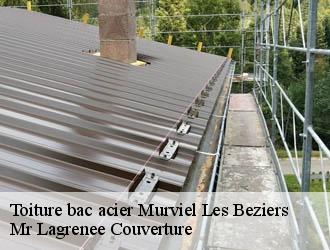 Toiture bac acier murviel-les-beziers-34490 Mr Lagrenee Couverture