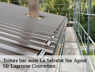 Toiture bac acier la-salvetat-sur-agout-34330 Mr Lagrenee Couverture
