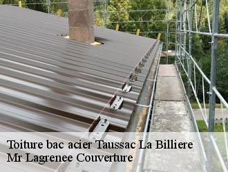 Toiture bac acier taussac-la-billiere-34600 Mr Lagrenee Couverture
