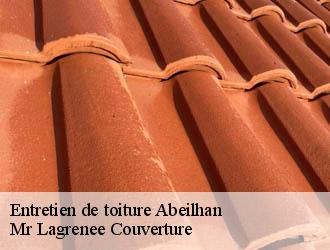 Entretien de toiture abeilhan-34290 Mr Lagrenee Couverture