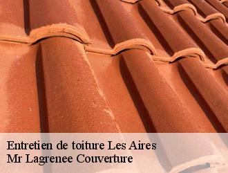 Entretien de toiture les-aires-34600 Mr Lagrenee Couverture