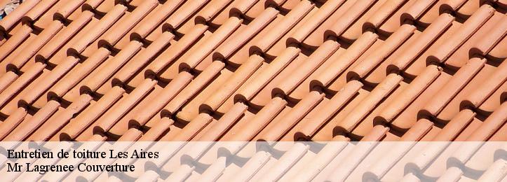 Entretien de toiture 34600