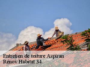 Entretien de toiture  aspiran-34800 Rénov Habitat 34 