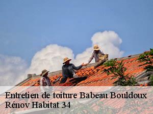 Entretien de toiture  babeau-bouldoux-34360 Rénov Habitat 34 