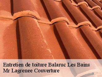 Entretien de toiture balaruc-les-bains-34540 Mr Lagrenee Couverture