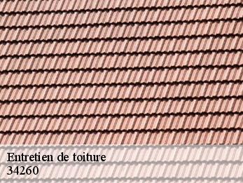 Entretien de toiture  34260