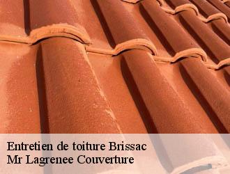 Entretien de toiture brissac-34190 Mr Lagrenee Couverture