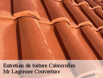 Entretien de toiture cabrerolles-34480 Mr Lagrenee Couverture
