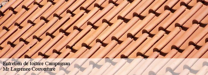 Entretien de toiture  34230