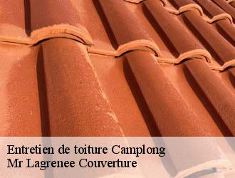 Entretien de toiture camplong-34260 Mr Lagrenee Couverture