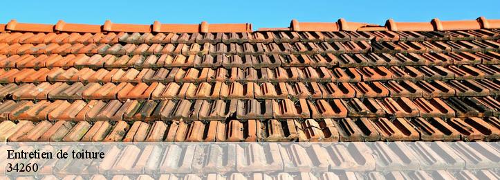 Entretien de toiture 34260