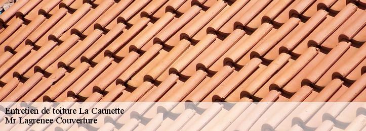 Entretien de toiture 34210