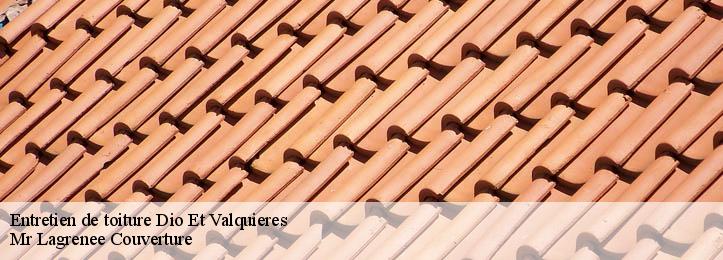 Entretien de toiture 34650