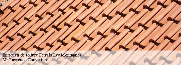 Entretien de toiture 34210