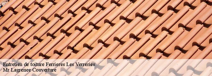 Entretien de toiture 34190