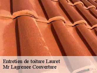 Entretien de toiture lauret-34270 Mr Lagrenee Couverture