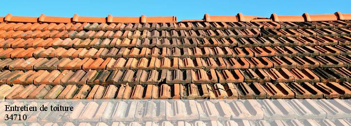 Entretien de toiture 34710