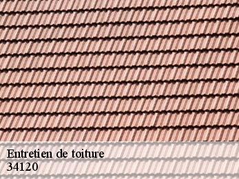 Entretien de toiture 34120
