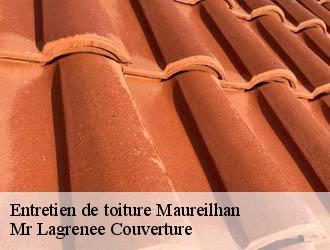 Entretien de toiture maureilhan-34370 Mr Lagrenee Couverture