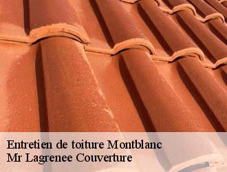 Entretien de toiture montblanc-34290 Mr Lagrenee Couverture