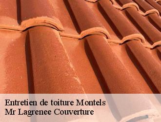 Entretien de toiture montels-34310 Mr Lagrenee Couverture