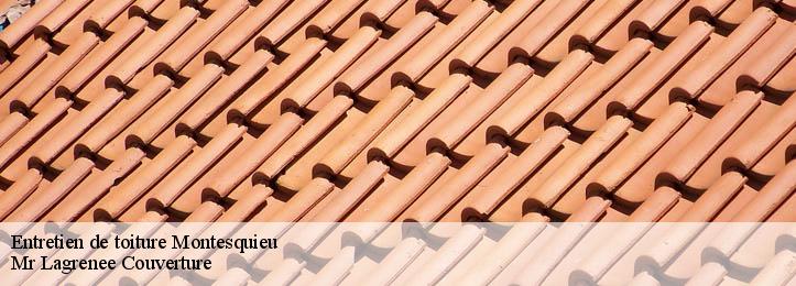 Entretien de toiture 34320