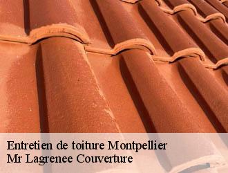 Entretien de toiture  montpellier-34000 Mr Lagrenee Couverture