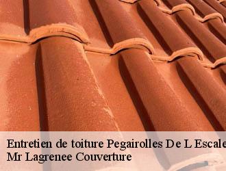 Entretien de toiture pegairolles-de-l-escalett-34700 Mr Lagrenee Couverture