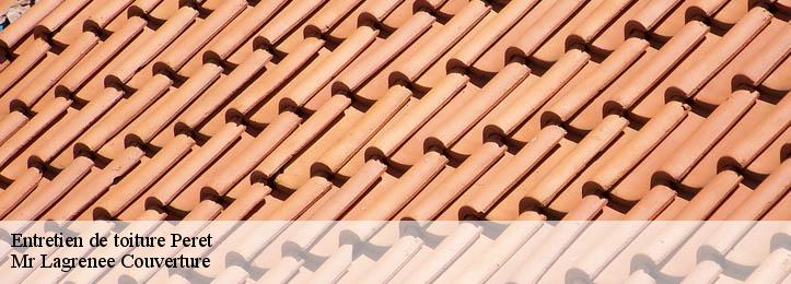 Entretien de toiture  34800