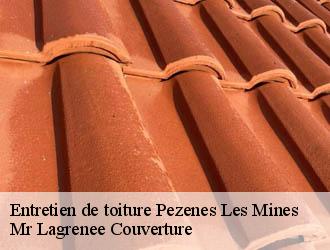 Entretien de toiture pezenes-les-mines-34600 Mr Lagrenee Couverture