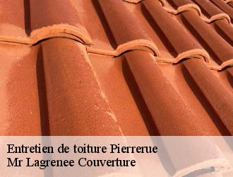 Entretien de toiture pierrerue-34360 Mr Lagrenee Couverture