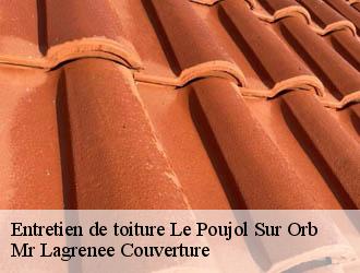 Entretien de toiture le-poujol-sur-orb-34600 Mr Lagrenee Couverture