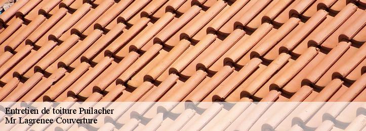 Entretien de toiture 34230