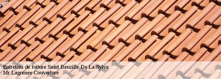 Entretien de toiture 34230