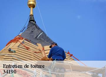 Entretien de toiture  34190