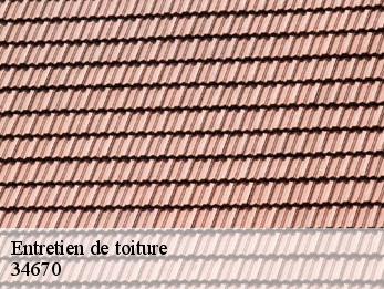 Entretien de toiture 34670