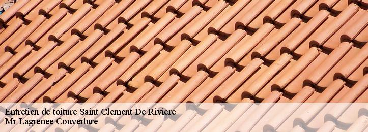 Entretien de toiture 34980