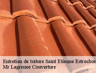 Entretien de toiture saint-etienne-estrechoux-34260 Mr Lagrenee Couverture