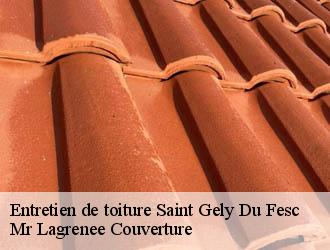Entretien de toiture saint-gely-du-fesc-34980 Mr Lagrenee Couverture